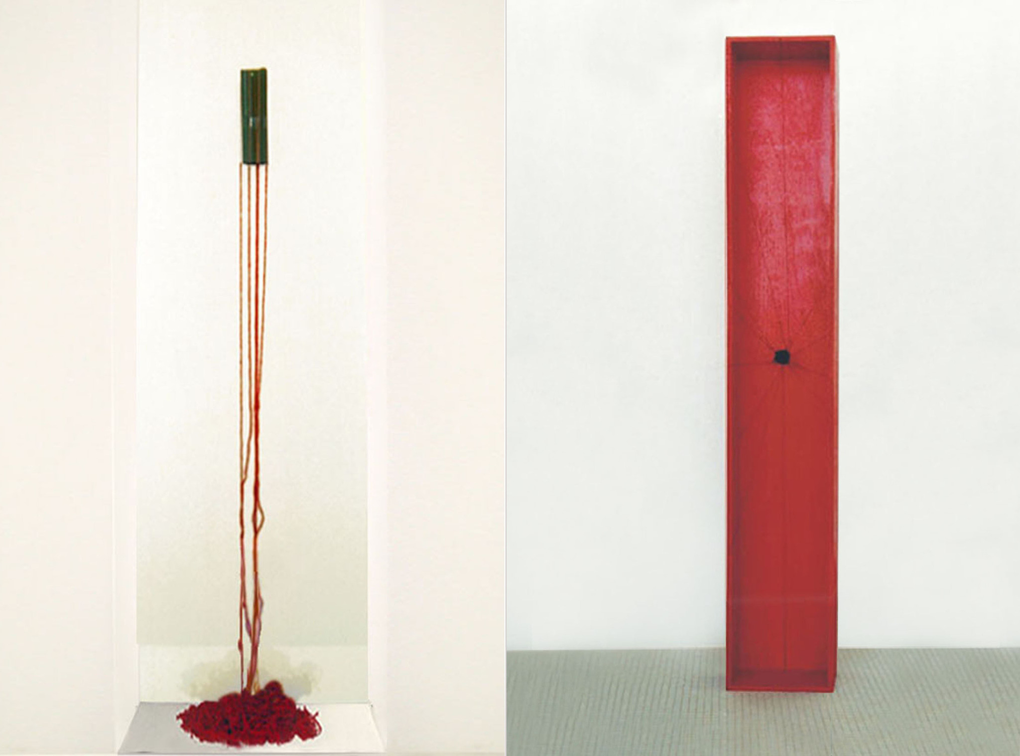 tubos plásticos, barbante e espelho | 200 x 60 x 60 cm / acrílica sobre MDF e elástico |190 x 30 x 15 cm